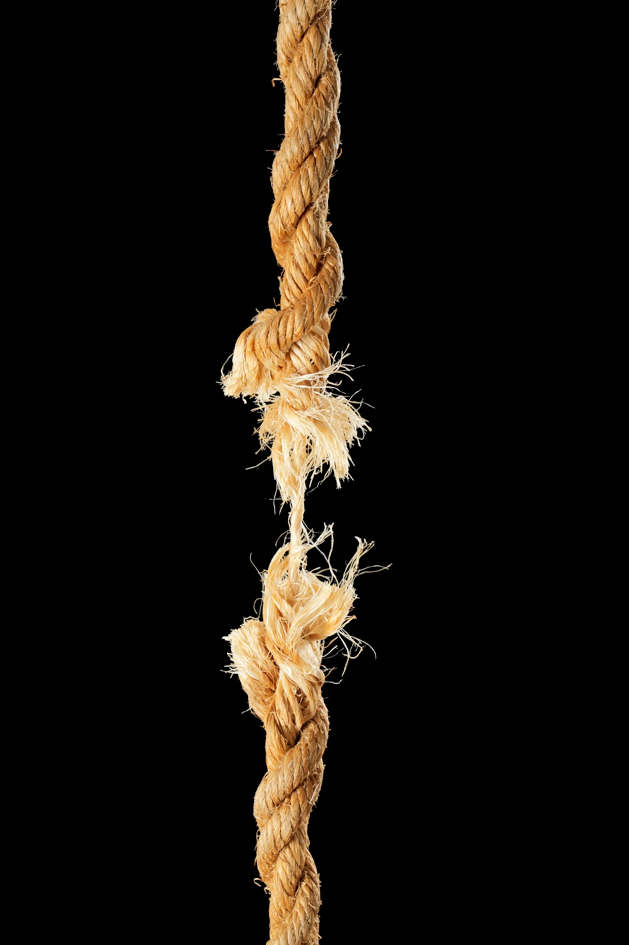 trading bulls hanging by a thread
