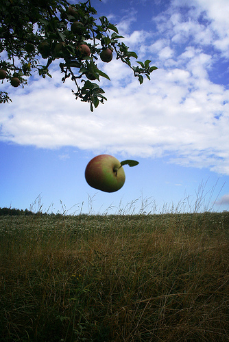 aapl stock drop apple plunge stock trading options education technical analysis market cap etfs