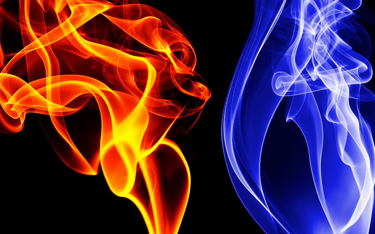 hot and cold stocks of 2013 etf investing option trading